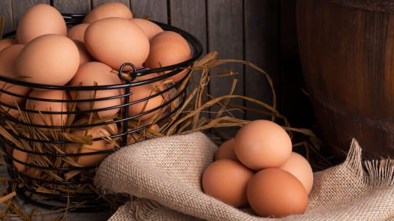 14 Benefits Of Eating Eggs