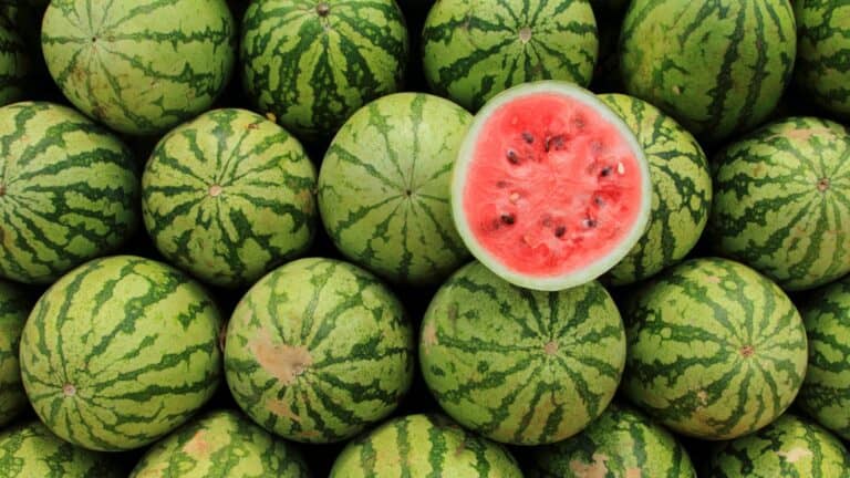 Watermelon With A Yellow Spot; This Is What It Means